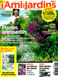 actualité Horiazl Juin 2021